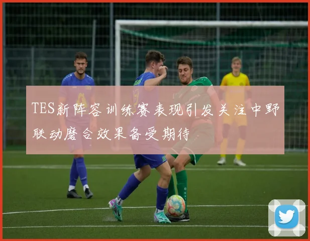 TES新阵容训练赛表现引发关注中野联动磨合效果备受期待